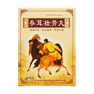 参茸壮骨丸价格