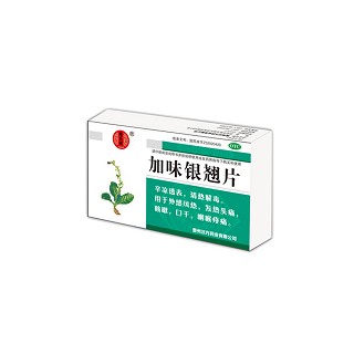加味银翘片(汉方)