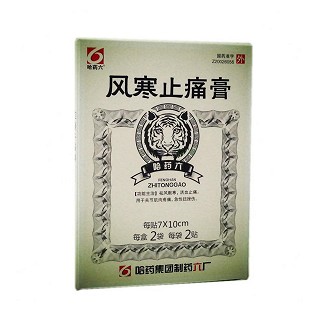风寒止痛膏(哈药集团)