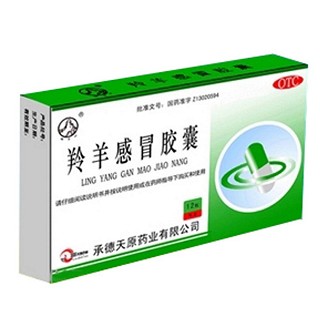 锥子山(羚羊感冒胶囊)