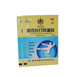 麝香跌打风湿膏(白药)