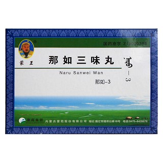 那如三味丸(蒙王)