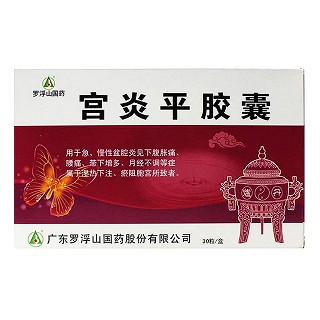 宫炎平胶囊(罗浮山国药)