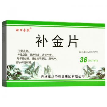 补金片(动力永恒)