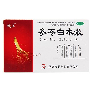 参苓白术散(6g*10袋)