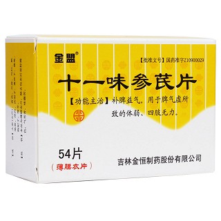 十一味参芪片(金盟)