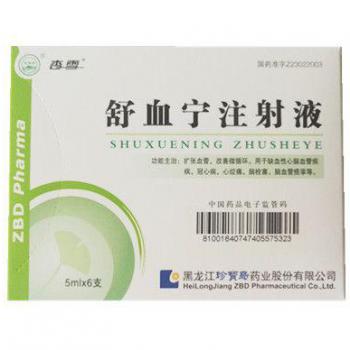 舒血宁注射液(杏雪)