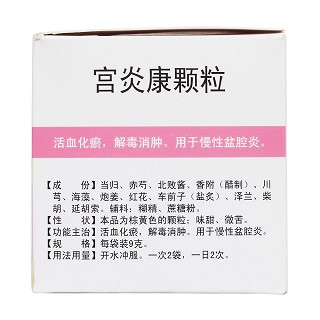 宫炎康颗粒(9g*10袋)