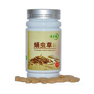 佳莱福蛹虫草压片糖果(紫光生物)