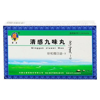 清感九味丸(蒙药股份)