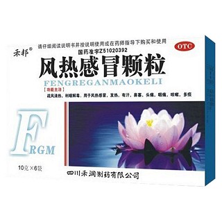 风热感冒颗粒(禾邦)