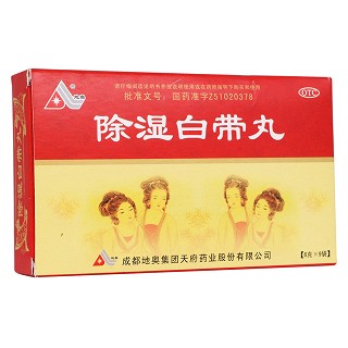 除湿白带丸(地奥)